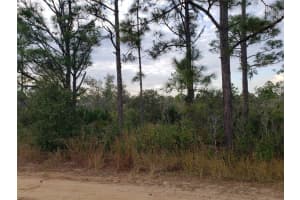 602 BOTTLEBRUSH AVENUE, LAKE PLACID, FL 33852 Sold 05/23/25