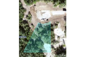 314 BOWFIN LANE, KISSIMMEE, FL 34759 Sold 03/24/25