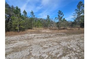 0 PORTULACA DRIVE, INDIAN LAKE ESTATES, FL 33855 - MLS#MFRP4933244