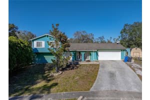 1008 Highgrove Ct, VALRICO