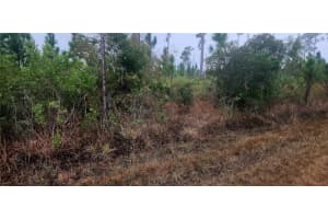 619 CALENDULA DRIVE, INDIAN LAKE ESTATES, FL 33855 - MLS#MFRP4933452