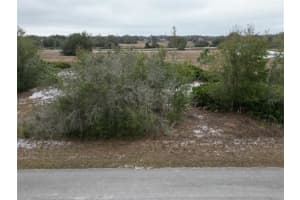 2807 NEWTON ROAD, AVON PARK, FL 33825 Sold 02/14/25