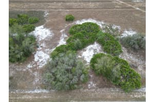 2807 NEWTON ROAD, AVON PARK, FL 33825 Sold 02/14/25
