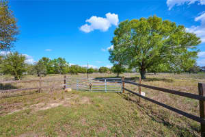 386 CAPPS ROAD, LAKE WALES, FL 33898 - MLS#MFRP4933965