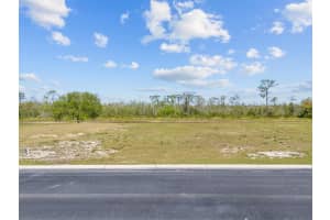 345 ADAMS VIEW LANE, AUBURNDALE, FL 33823 - MLS#MFRP4934260