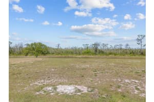 345 ADAMS VIEW LANE, AUBURNDALE, FL 33823 - MLS#MFRP4934260