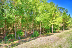 1573 VIENNA SQUARE DR, WINTER HAVEN, FL 33884 - MLS#MFRP4934517