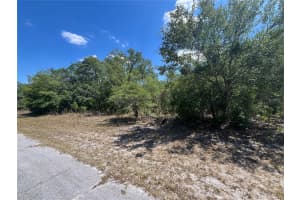 OLEANDER DR, INDIAN LAKE ESTATES, FL 33855 - MLS#MFRP4934522