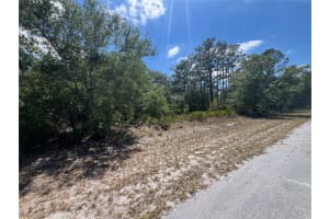 OLEANDER DR, INDIAN LAKE ESTATES, FL 33855 - MLS#MFRP4934522