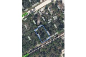 406 ALLEGHENY AVENUE, LAKE PLACID, FL 33852 - MLS#MFRP4934644