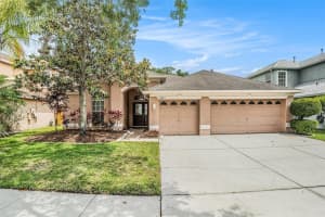 11924 NORTHUMBERLAND DRIVE, TAMPA, FL 33626 Sold 07/31/25