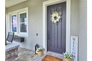 445 WATERFERN TRAIL DRIVE, AUBURNDALE, FL 33823 - MLS#MFRP4934894