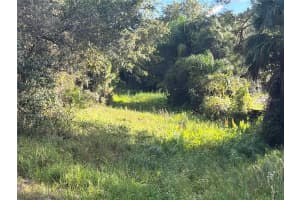 0 OAKWOOD DRIVE, LAKE WALES, FL 33898 - MLS#MFRP4934952