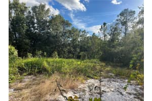 0 OAKWOOD DRIVE, LAKE WALES, FL 33898 - MLS#MFRP4934952