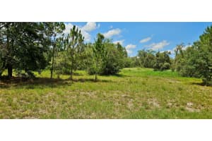 MAMMOTH GROVE RD, LAKE WALES, FL 33898 - MLS#MFRP4935027