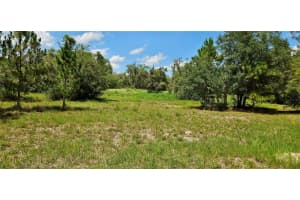 MAMMOTH GROVE RD, LAKE WALES, FL 33898 - MLS#MFRP4935027