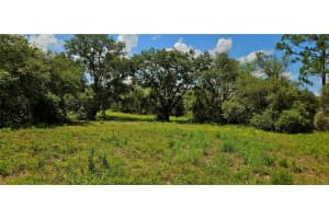 MAMMOTH GROVE RD, LAKE WALES, FL 33898 - MLS#MFRP4935027