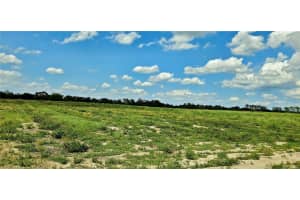 MAMMOTH GROVE ROAD, LAKE WALES, FL 33898 - MLS#MFRP4935057