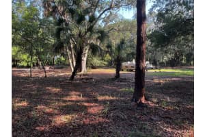 0 CAMP MACK ROAD, LAKE WALES, FL 33898 - MLS#MFRP4935112