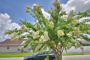 373 ST GEORGES CIR, EAGLE LAKE, FL 33839 Sold 07/23/25