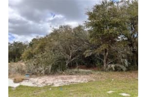 1331 CONGO DRIVE, POINCIANA, FL 34759 - MLS#MFRP4935167