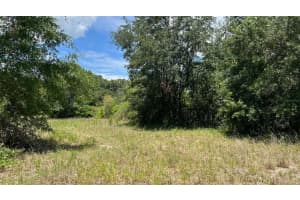 ABUNDANT LIFE DR, AUBURNDALE, FL 33823 - MLS#MFRP4935183