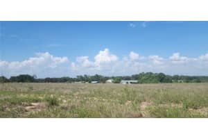 790 LAKE LOTELA DRIVE, AVON PARK, FL 33825 - MLS#MFRP4935222