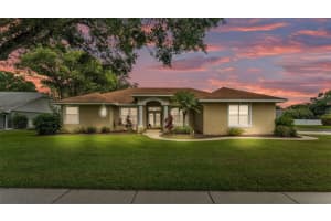 3717 Tigereye Ct, MULBERRY