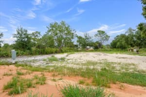50 TIGER LAKE ROAD, LAKE WALES, FL 33898 - MLS#MFRP4935368
