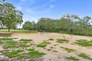 50 TIGER LAKE ROAD, LAKE WALES, FL 33898 - MLS#MFRP4935368