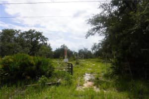 0 WOODVILLE STREET, LAKE WALES, FL 33853 - MLS#MFRP4935385