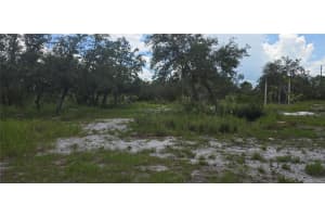 0 WOODVILLE STREET, LAKE WALES, FL 33853 - MLS#MFRP4935385