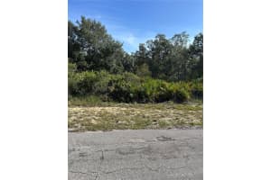 123 HIBISCUS DRIVE, INDIAN LAKE ESTATES, FL 33855 - MLS#MFRP4935456