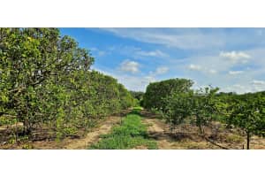 GOLDENBOUGH RD, LAKE WALES, FL 33898 Sold 08/26/25