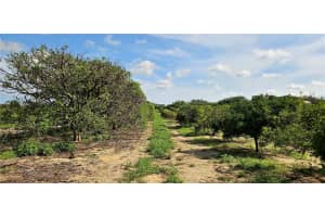 GOLDENBOUGH RD, LAKE WALES, FL 33898 Sold 08/26/25
