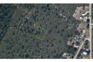 1453 TAFT AVENUE, LAKE PLACID, FL 33852 - MLS#MFRP4935544