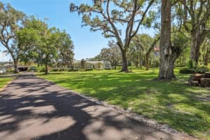 29235 BAYHEAD RD, DADE CITY, FL 33523 - MLS#MFRP4935835