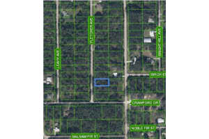 431 FLETCHER AVENUE, LAKE PLACID, FL 33852 Sold 08/26/25