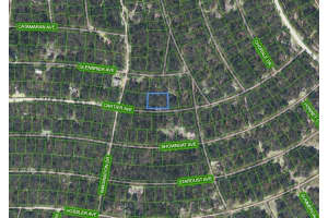354 CARTIER AVENUE, LAKE PLACID, FL 33852 - MLS#MFRP4936020
