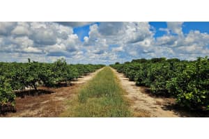 MLS# MFRP4936025, Lake Wales, Florida 33898