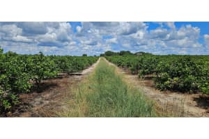 MLS# MFRP4936025, Lake Wales, Florida 33898
