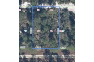 556 PARAKEET AVENUE, SEBRING, FL 33872 - MLS#MFRP4936186