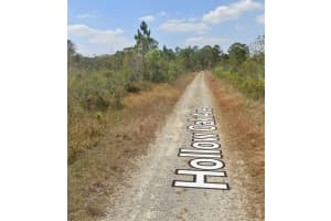 3108 HOLLOW OAK AVENUE, LAKE PLACID, FL 33852 - MLS#MFRP4936194