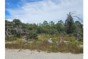 123 PATTON AVENUE, LAKE PLACID, FL 33852 - MLS#MFRP4936196