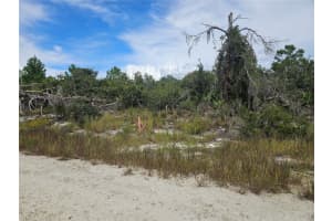 123 PATTON AVENUE, LAKE PLACID, FL 33852 - MLS#MFRP4936196