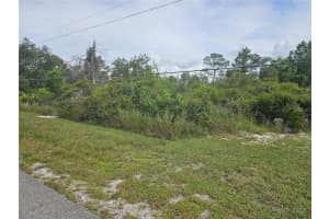 1009 LOTUS STREET, LAKE PLACID, FL 33852 - MLS#MFRP4936197
