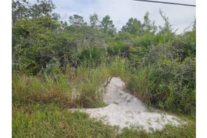 1009 LOTUS STREET, LAKE PLACID, FL 33852 - MLS#MFRP4936197