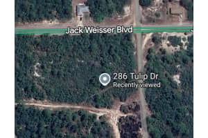 286 TULIP DRIVE, LAKE PLACID, FL 33852 - MLS#MFRP4936198