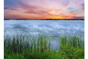 31 SUNSET CIRCLE, LAKE ALFRED, FL 33850 - MLS#MFRP4936225