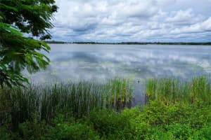 31 SUNSET CIRCLE, LAKE ALFRED, FL 33850 - MLS#MFRP4936225